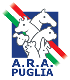 Festa della transumanza (2° edizione)